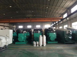 圖 廣州發(fā)電機(jī)出租 廣州發(fā)電機(jī)租售 大型發(fā)電機(jī)租賃 廣州租賃