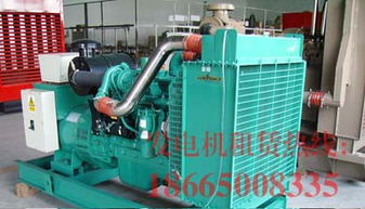 番禺發(fā)電機(jī)出租,50kw 1800kw